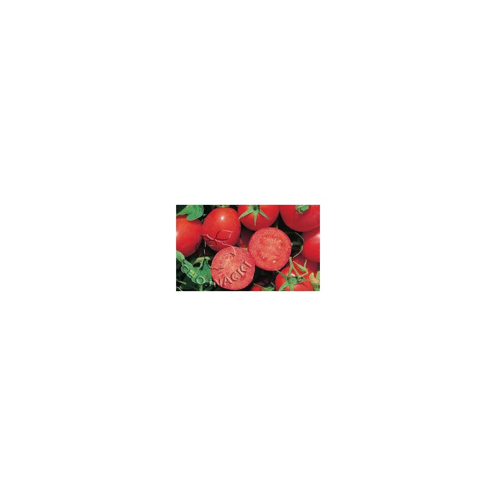POMIDOR GRUNTOWY RED SKY F1 25 TYS