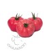 POMIDOR GUSTO PINK F1 1 TYS