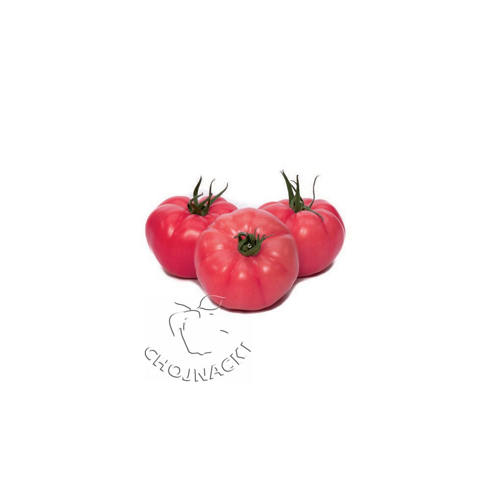 POMIDOR GUSTO PINK F1 1 TYS