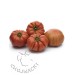 POMIDOR KARBOWANY BOCAMEGRA F1 100 NAS