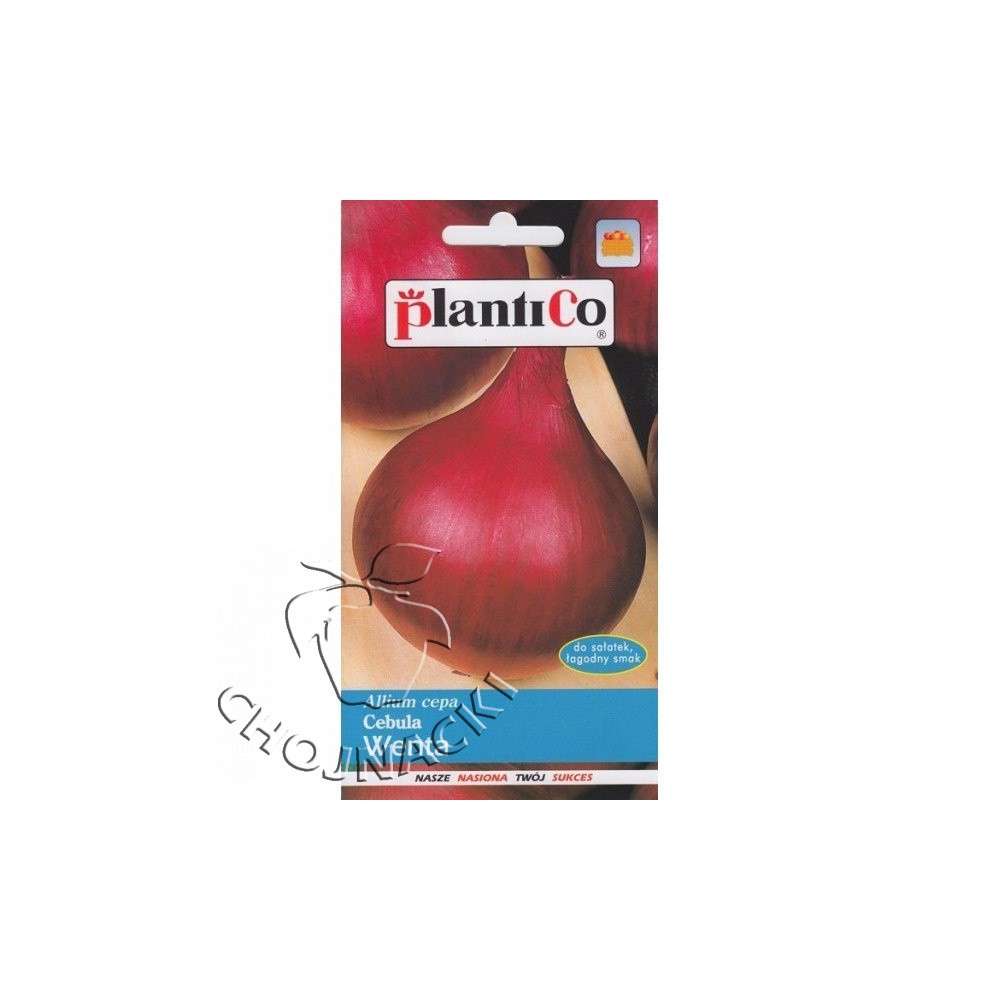 CEBULA CZERWONA WENTA 100 G