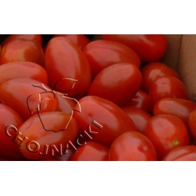 POMIDOR KOKTAJLOWY ANGELLE F1 500 NASION ST