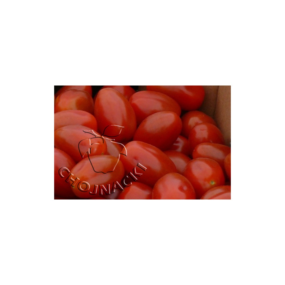 POMIDOR KOKTAJLOWY ANGELLE F1 500 NASION ST