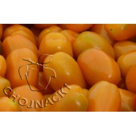 POMIDOR KOKTAJLOWY BAMBELO F1 500 NASION ST