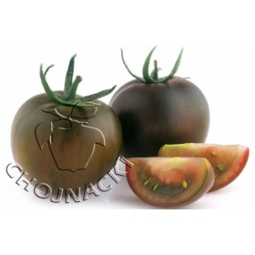 POMIDOR KOKTAJLOWY OLMECA (KUMATO) F1 500 NASION ST