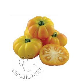 POMIDOR LACITRINE F1 1000N