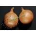 Cebula dormo f1 250t precyzyjne ST