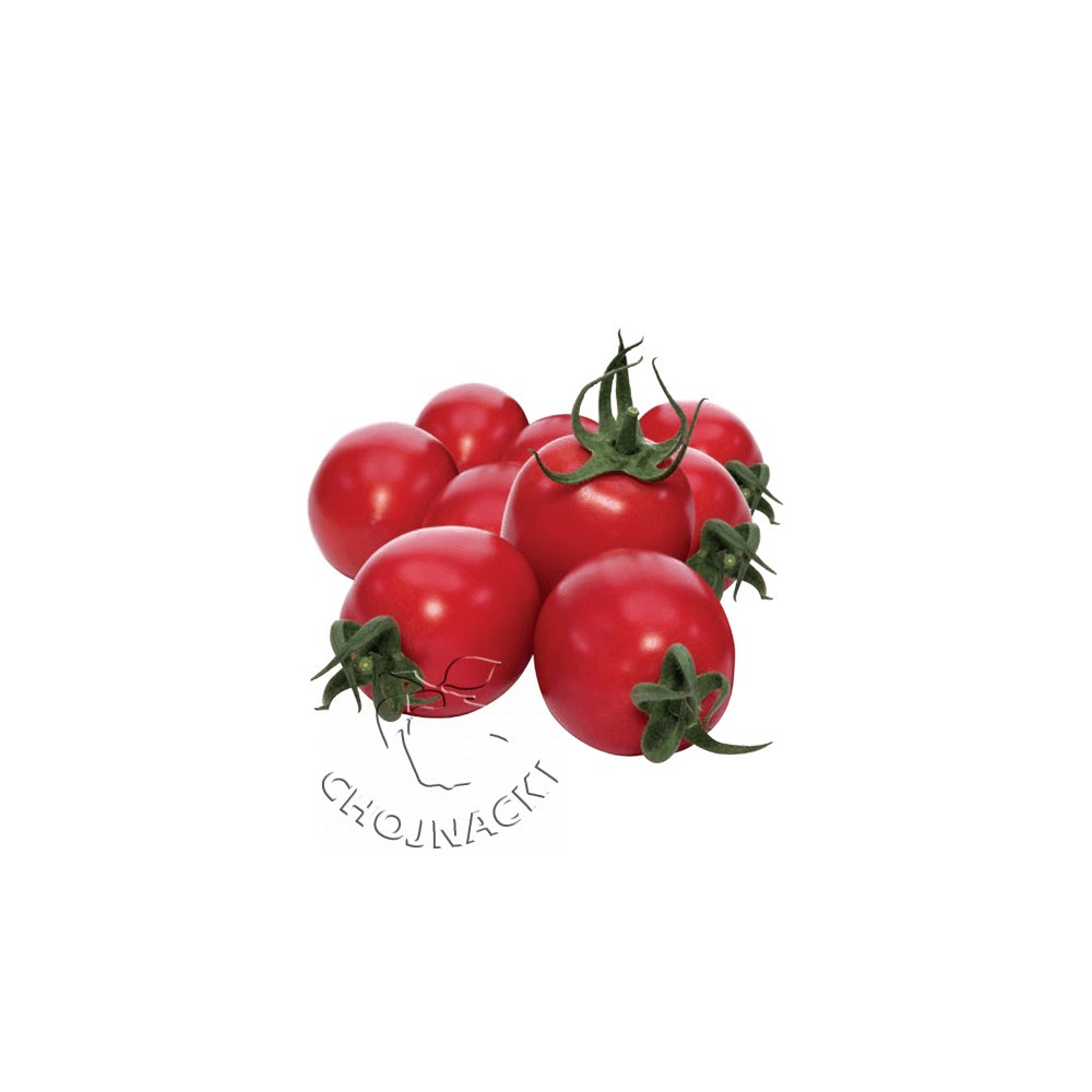 POMIDOR OWALNY MARCUS F1 100 NAS