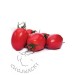 POMIDOR OWALNY MILLONETY F1 1 TYS