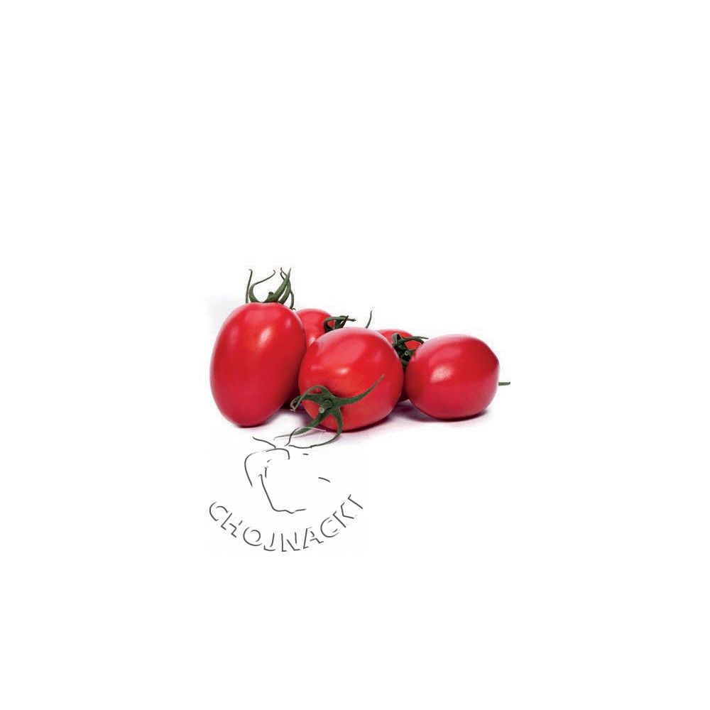 POMIDOR OWALNY MILLONETY F1 1 TYS