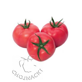 POMIDOR PINK PANTHER F1 MALINOWY 1 TYS
