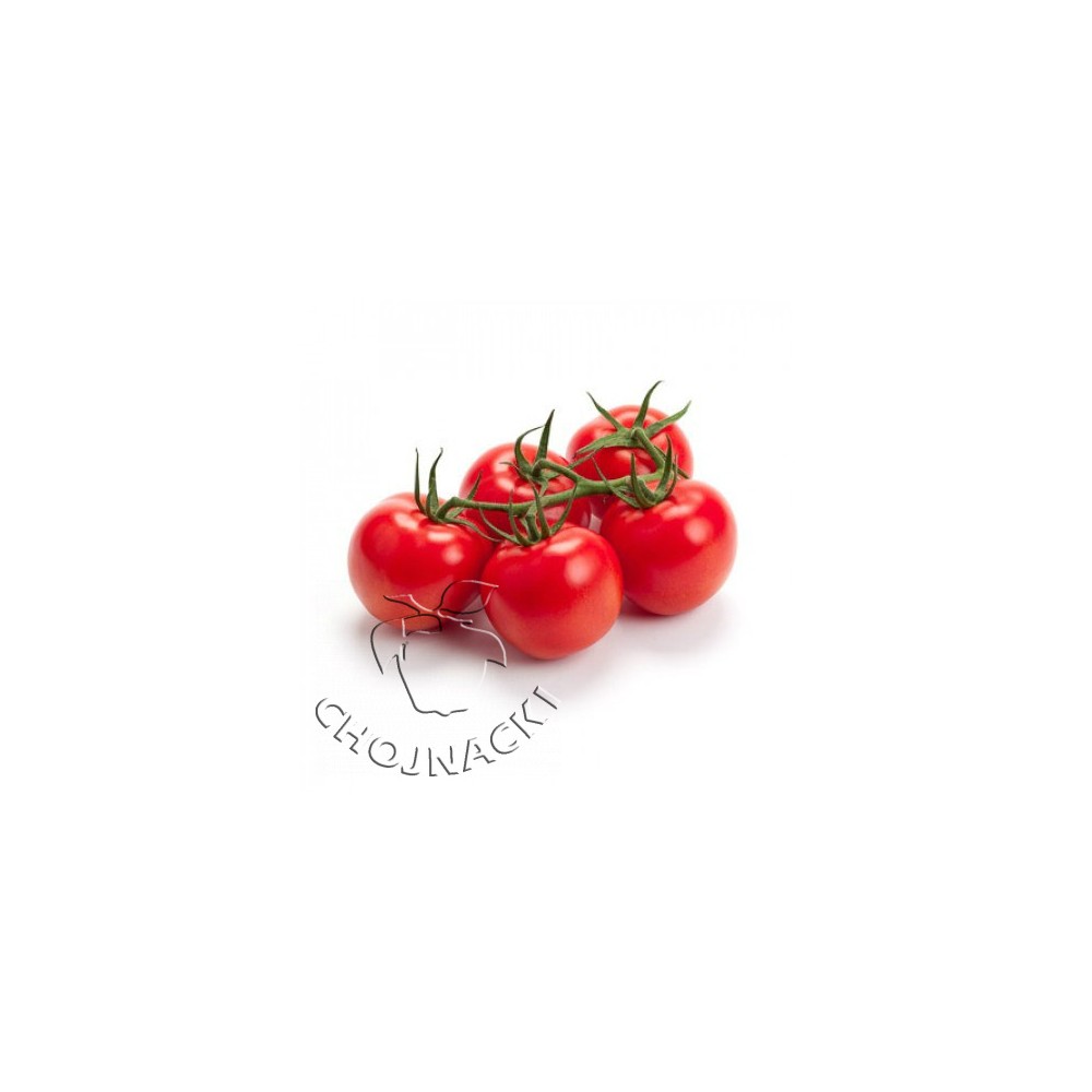 POMIDOR PRODEZO RZ FI 1 TYS ST