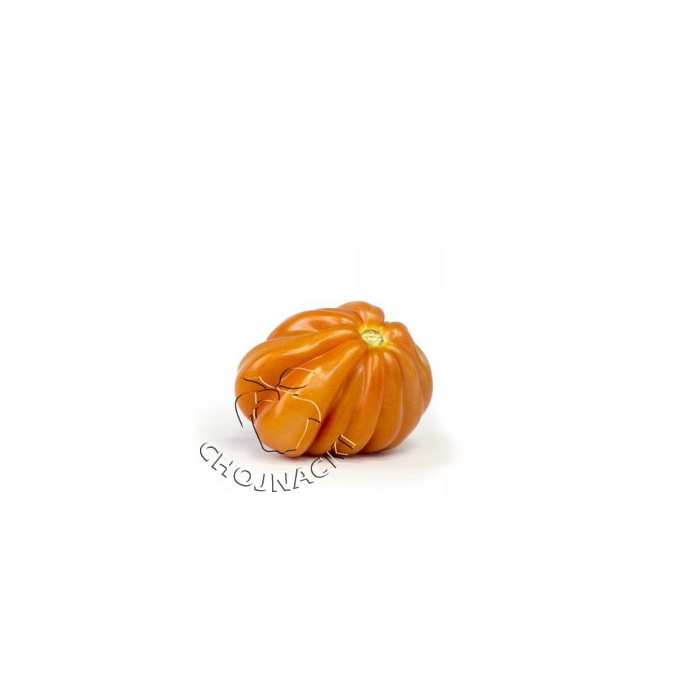 POMIDOR RUGANTINO RZ F1 1 TYS ST