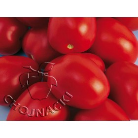 POMIDOR SZKLARNIOWY SAVANTAS F1 500 NAS ST