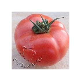Pomidor TUNELOWY MALINOWY HTP-11 250 NAS ST
