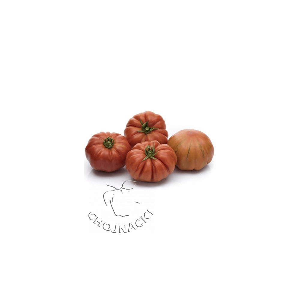 POMIDOR KARBOWANY BOCAMEGRA F1 250 NAS