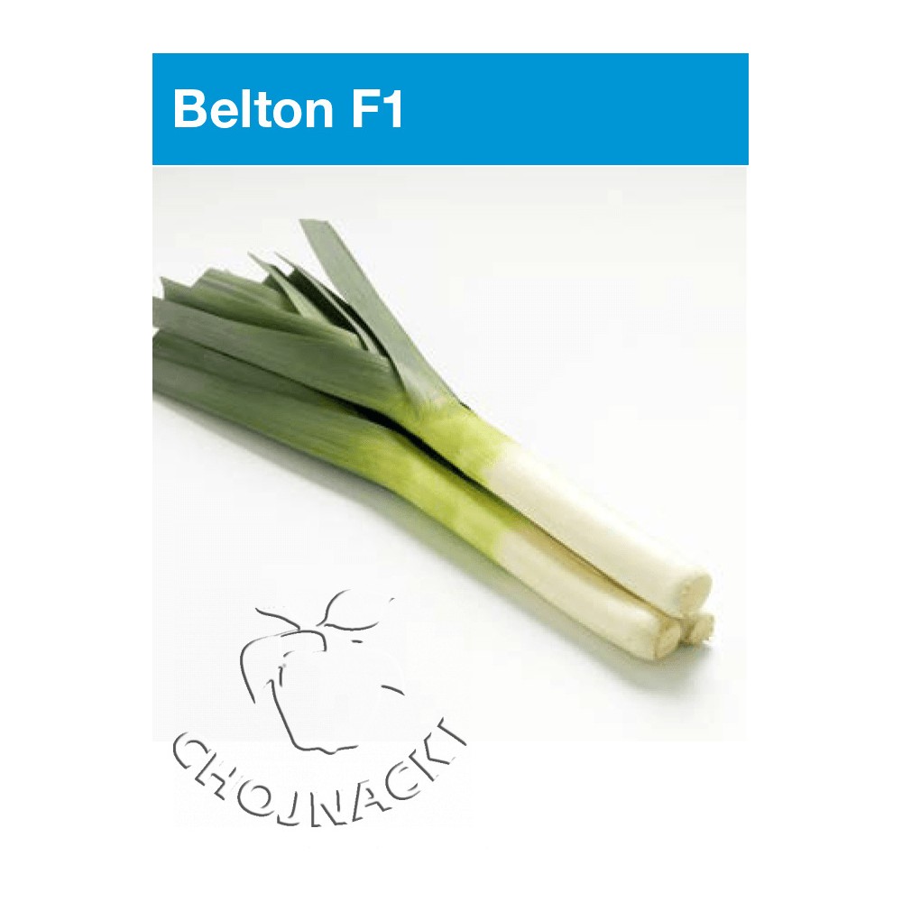 POR BELTON F1 10 TYS OTOCZKOWANE