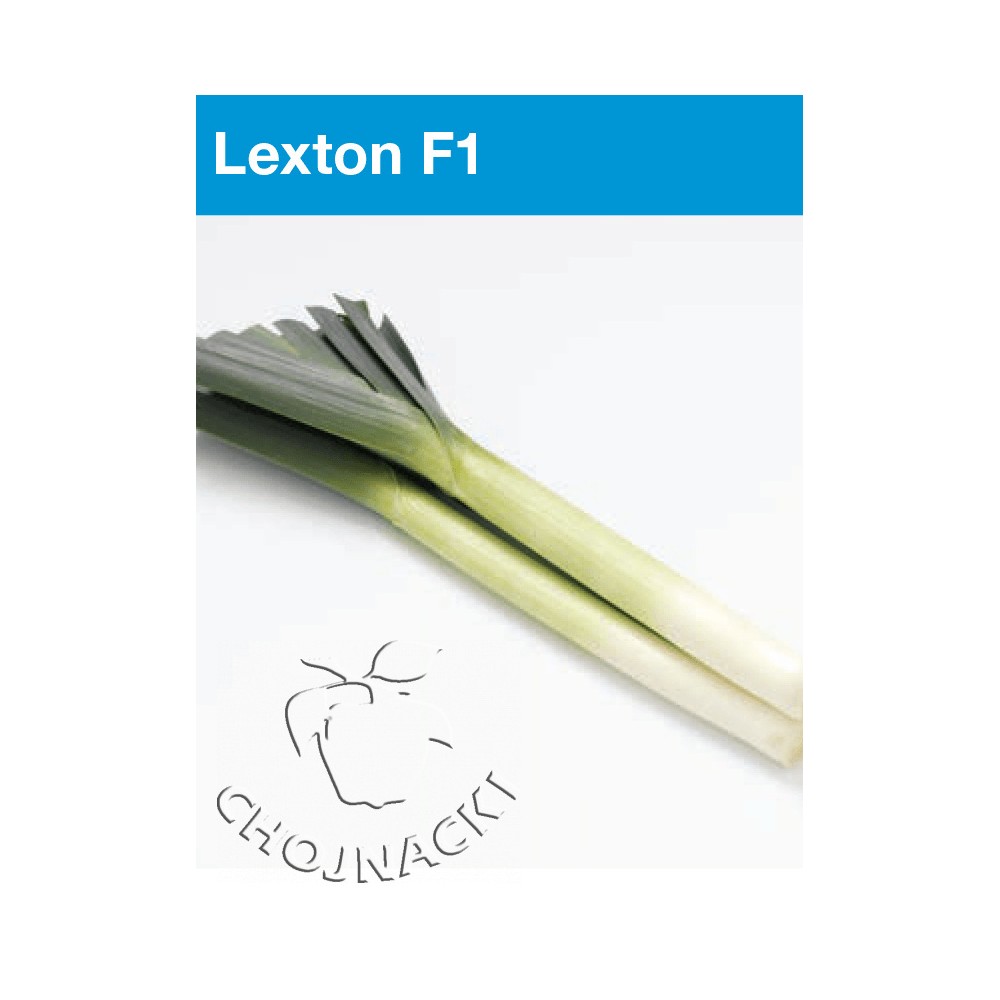 POR LEXTON F1 10 TYS