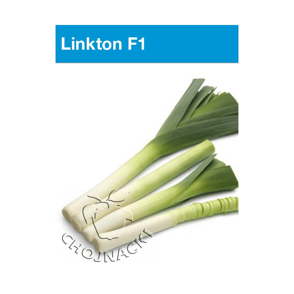 POR LINKTON F1 10 TYS OTOCZKOWANE