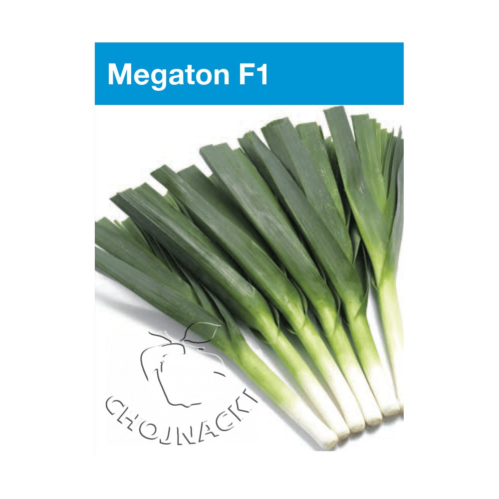 POR MEGATON F1 10 TYS OTOCZKOWANE