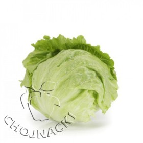 SAŁATA LODOWA CARTAGENAS RZ 5 TYS ST