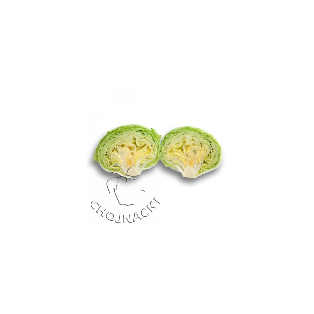 SAŁATA LODOWA OTOCZKOWANA GUSTINAS RZ 5 TYS ST