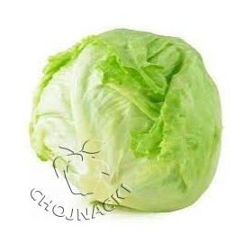 SAŁATA LODOWA SPRINKIN 5 TYS OTOCZKA ST