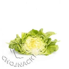 SAŁATA MASŁOWA OTOCZKOWANA CARASCO RZ (43-163) 5 TYS ST