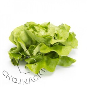 SAŁATA MASŁOWA OTOCZKOWANA CARASCO RZ (43-163) 5 TYS ST