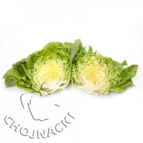 SAŁATA MASŁOWA OTOCZKOWANA JOLITO RZ (43-01) 5 TYS ST