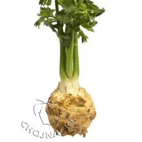 SELER KORZENIOWY MONARCH 10 TYS NUNHEMS