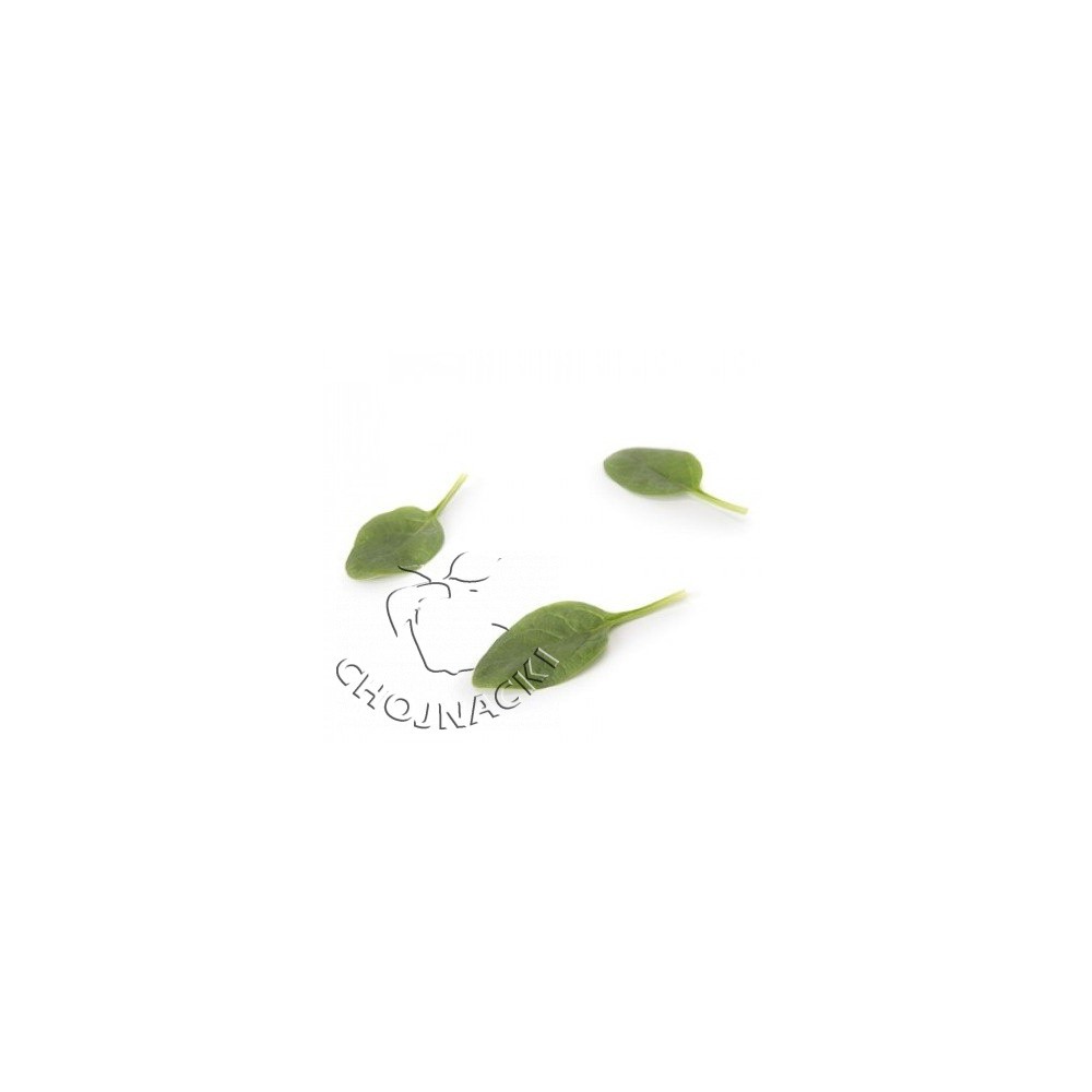 SZPINAK PRECYZYJNY PARAKEET RZ F1 1 MLN ST