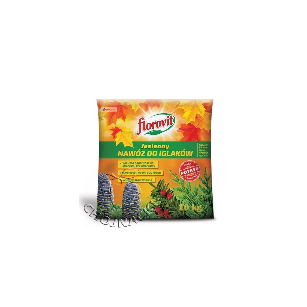 FLOROVIT IGLAK JESIEŃ 10KG