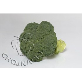 Brokuł Covina F1 (Bejo 2914) 2,5 tys PRECYZYJNE