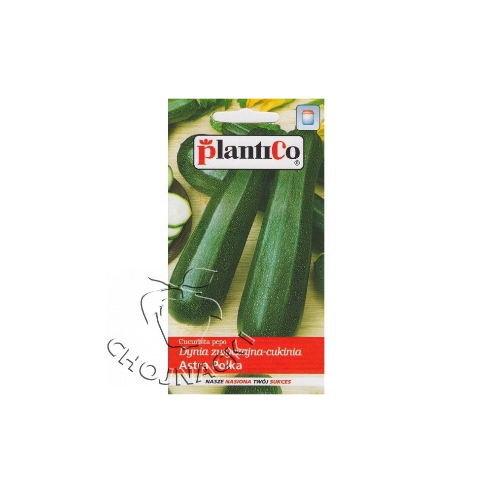 CUKINIA ZIELONA ASTRA POLKA 100 GR