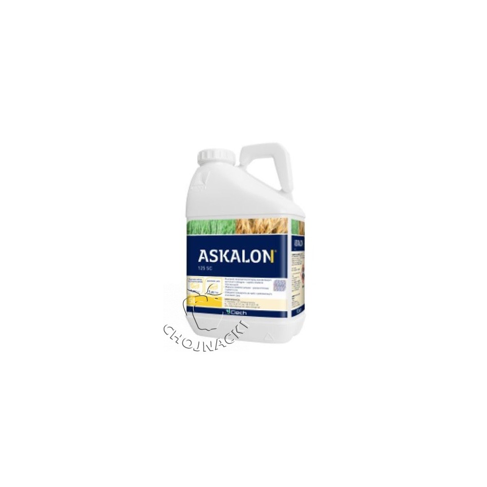 ASKALON 125SC 5L WYCOFANY