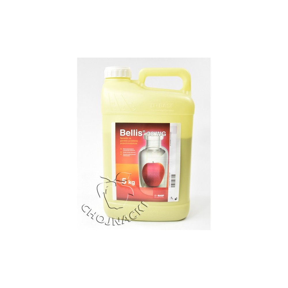 BELLIS 38 WG 5KG
