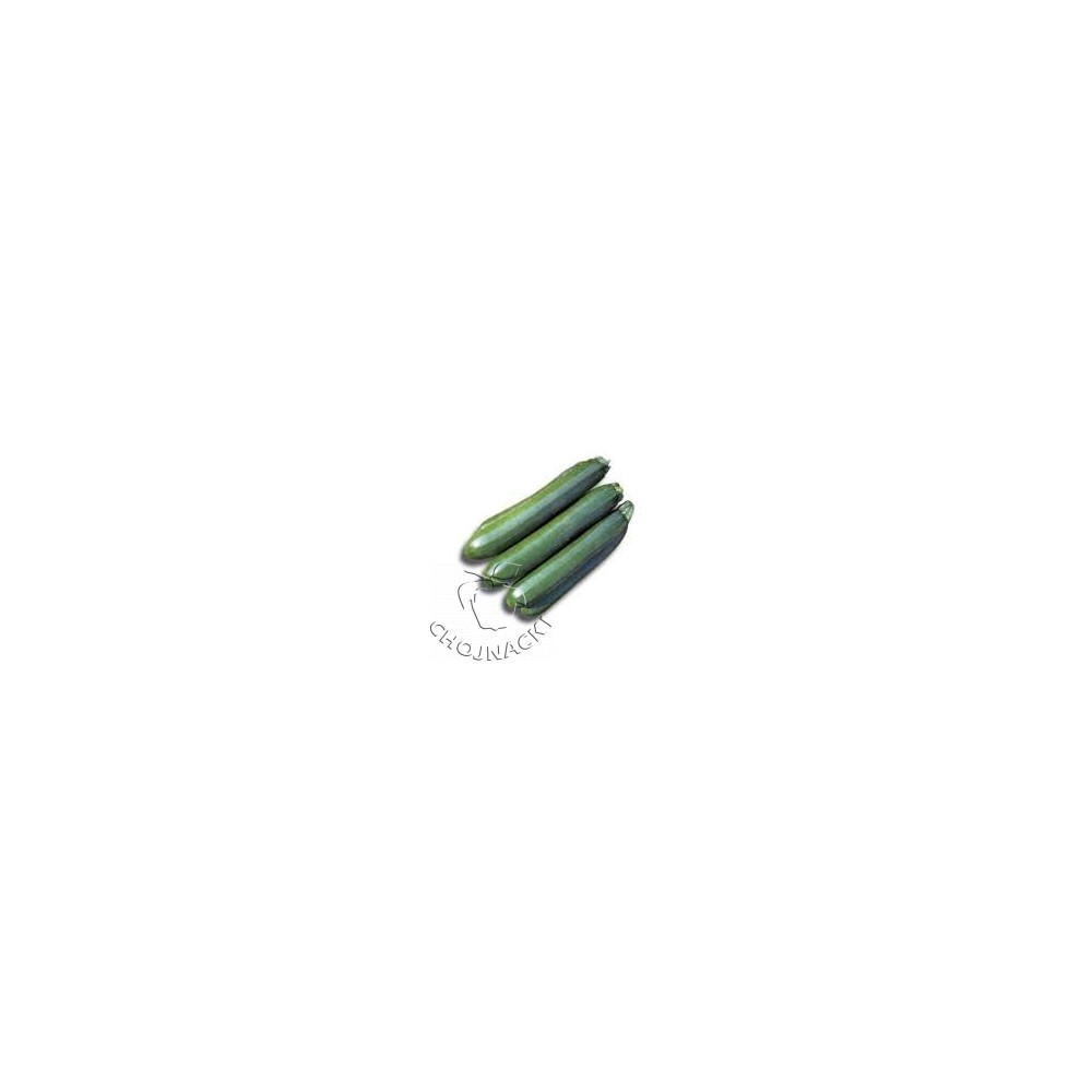 DYNIA (CUKINIA) ZIELONA LANKA F1 1 TYS ST