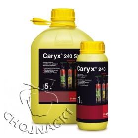 Preparat Caryx 240 SL do regulacji wzrostu i ochrony fungicydowej rzepaku ozimego