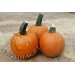 DYNIA HALLOWEEN MAGICIAN F1 1 TYS ST