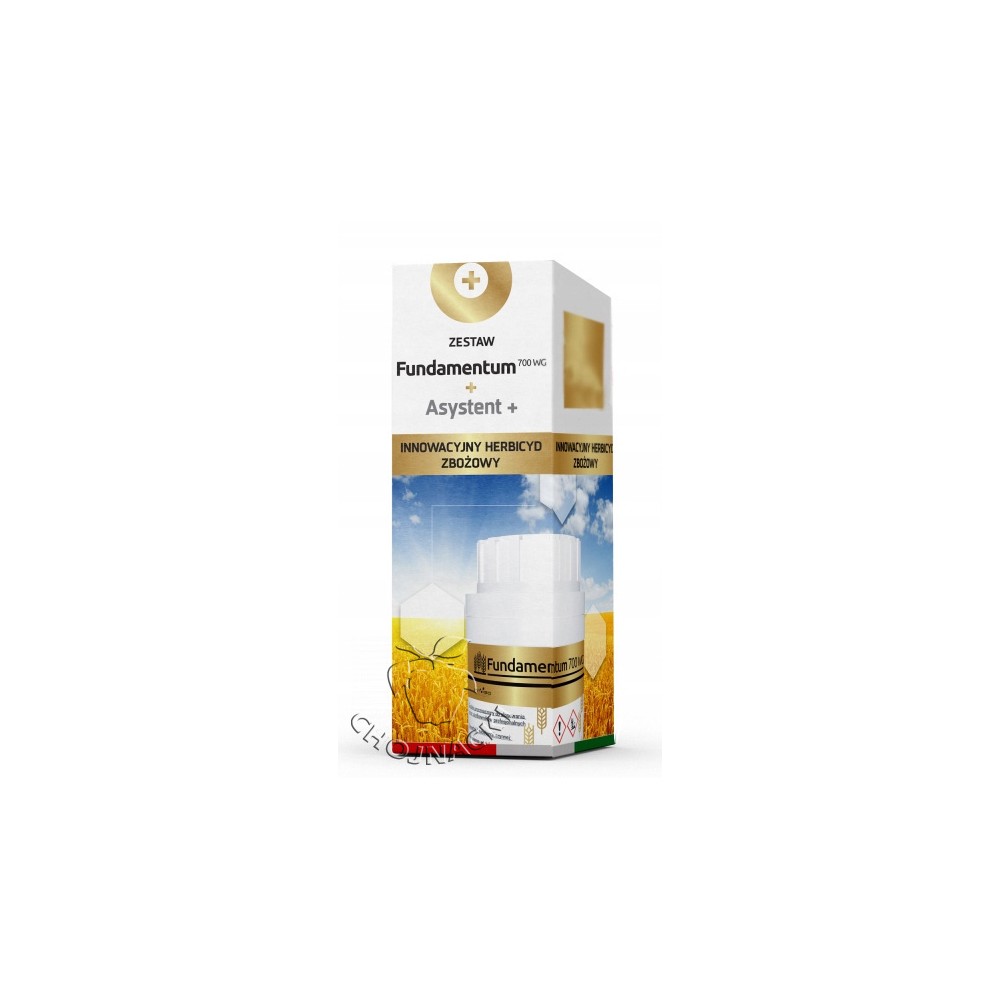 FUNDAMENTUM 30GR + ASYSTENT 100ML PAK