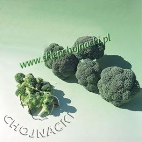 BROKUŁ MALIBU 2,5 TYS