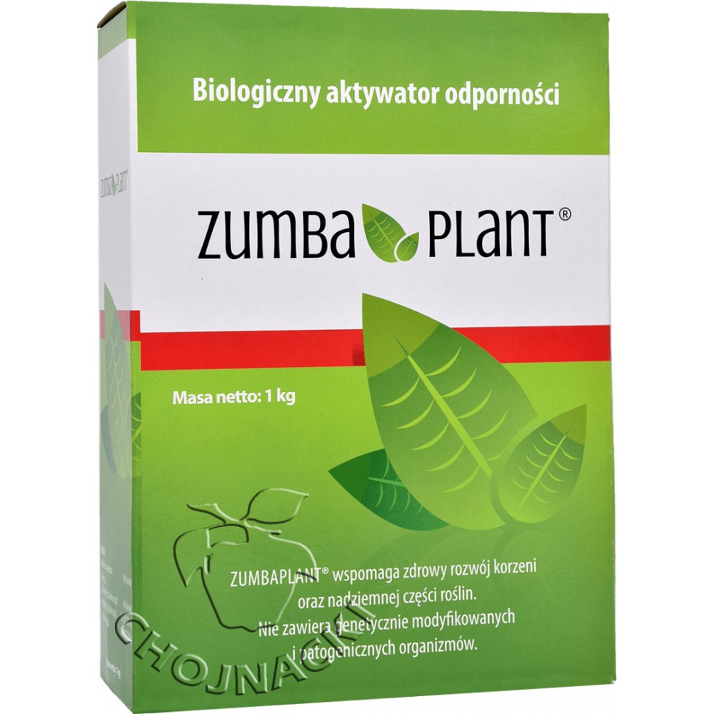 ZUMBA PLANT 1KG