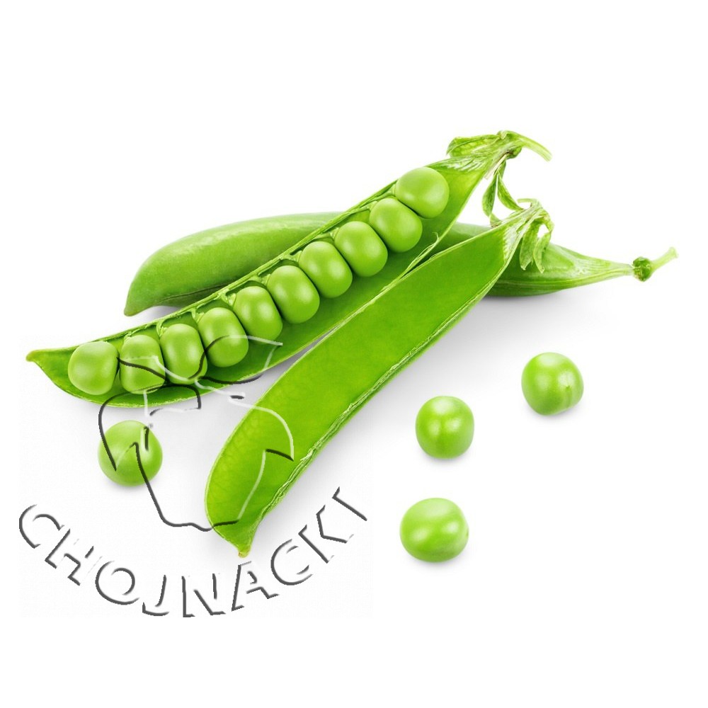 GROCH GRUNDY 100 TYS ST