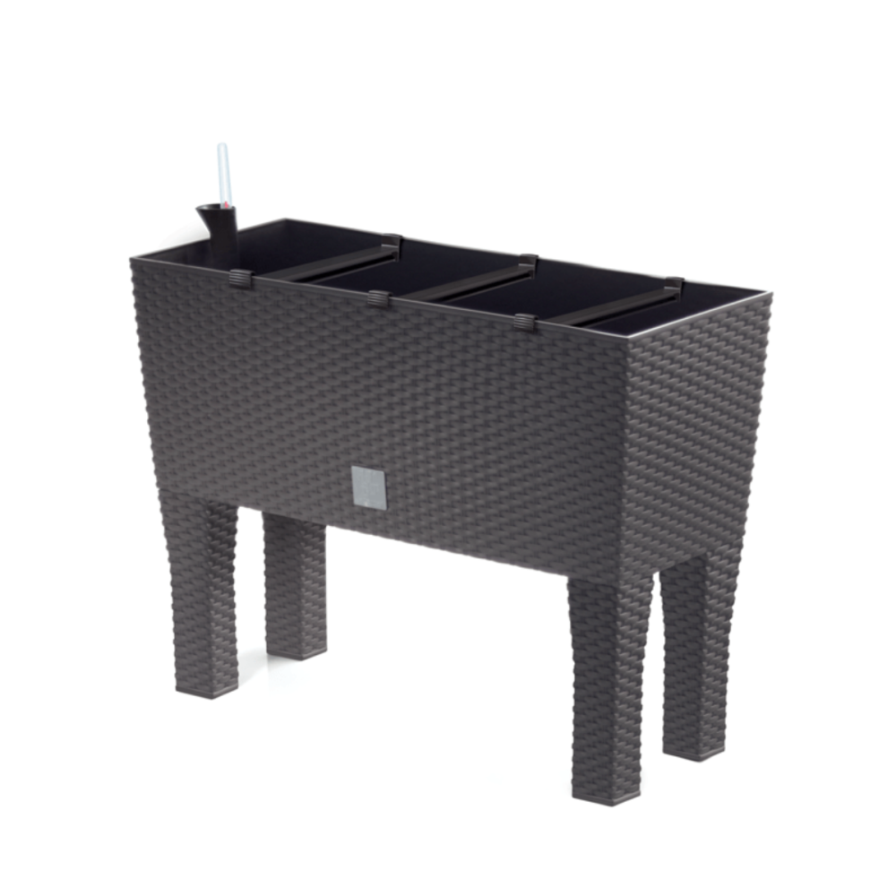 DONICZKA RATO CASE HIGH UMBRA