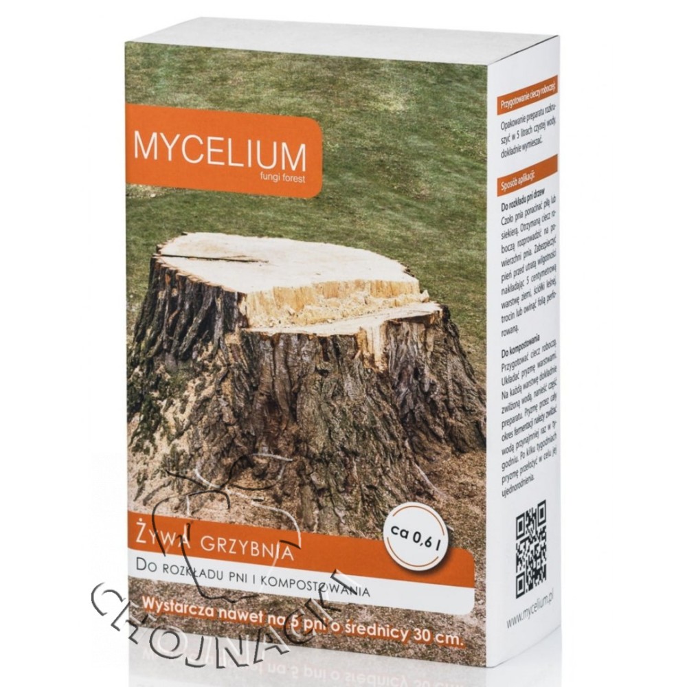 GRZYBNIA DO ROZKŁADU PNI MYCELIUM