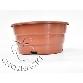 MISA PRODUKCYJNA CHRYZANTEMA 3 L