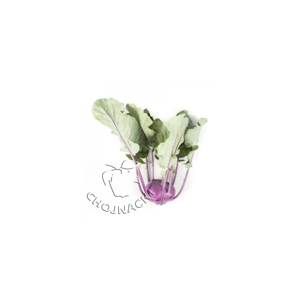 KALAREPA UKZA RZ FI 2,5 TYS PRECYZYJNE ST
