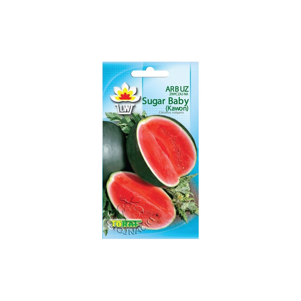 ARBUZ SUGAR BABY (KAWON) 1G