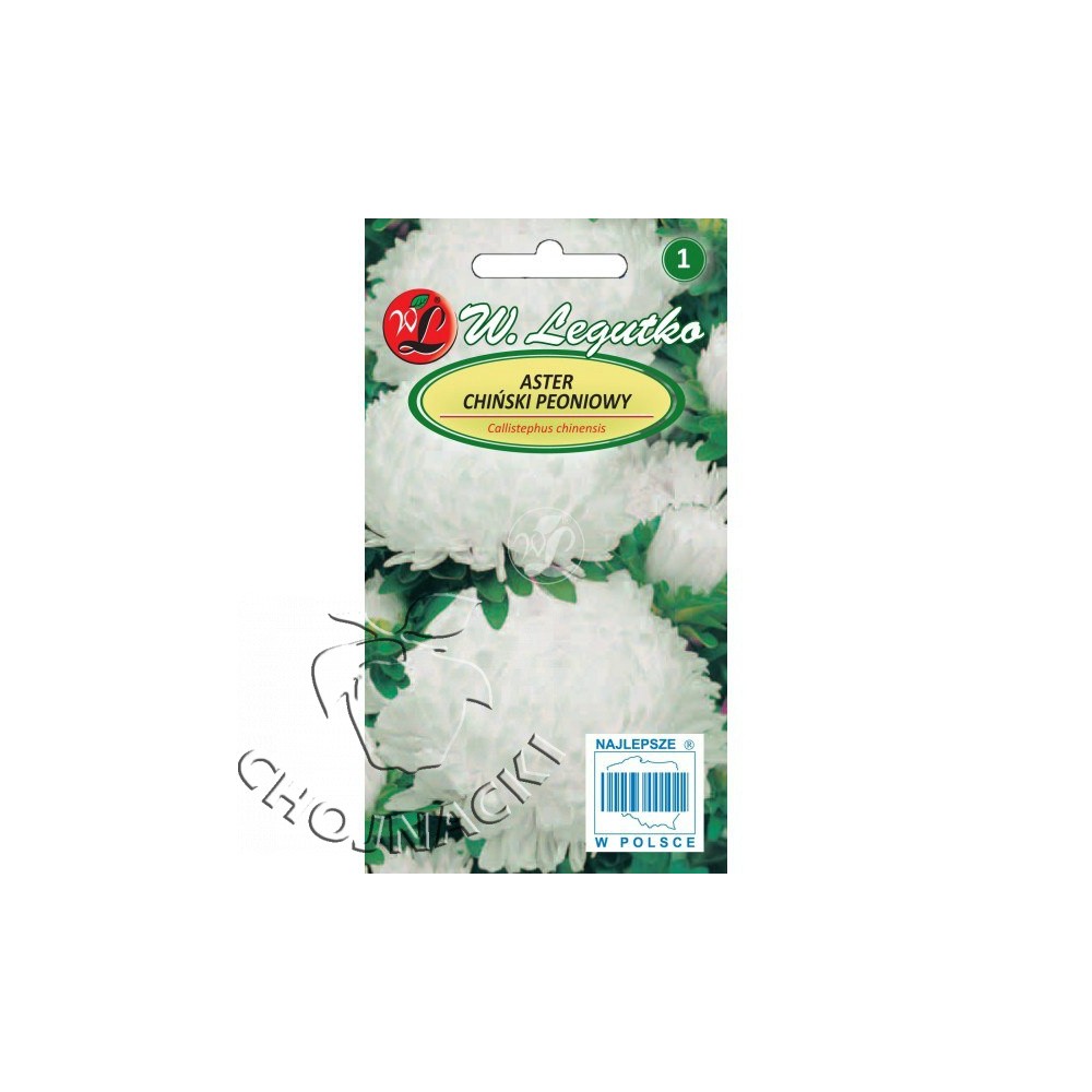 ASTER CHIŃSKI PEONIOWY 1G